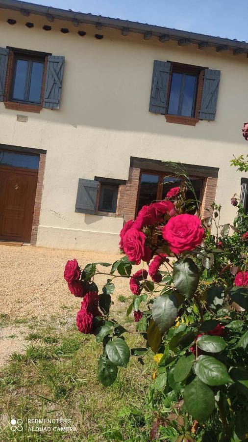 Ferme Du Bois Du Pouget Villa La Salvetat-Belmontet Екстериор снимка