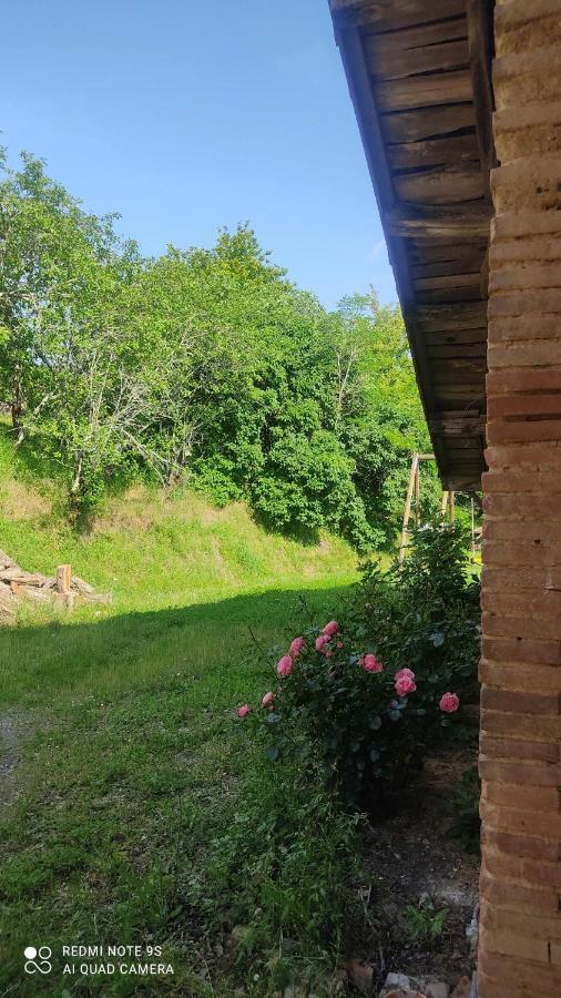 Ferme Du Bois Du Pouget Villa La Salvetat-Belmontet Екстериор снимка